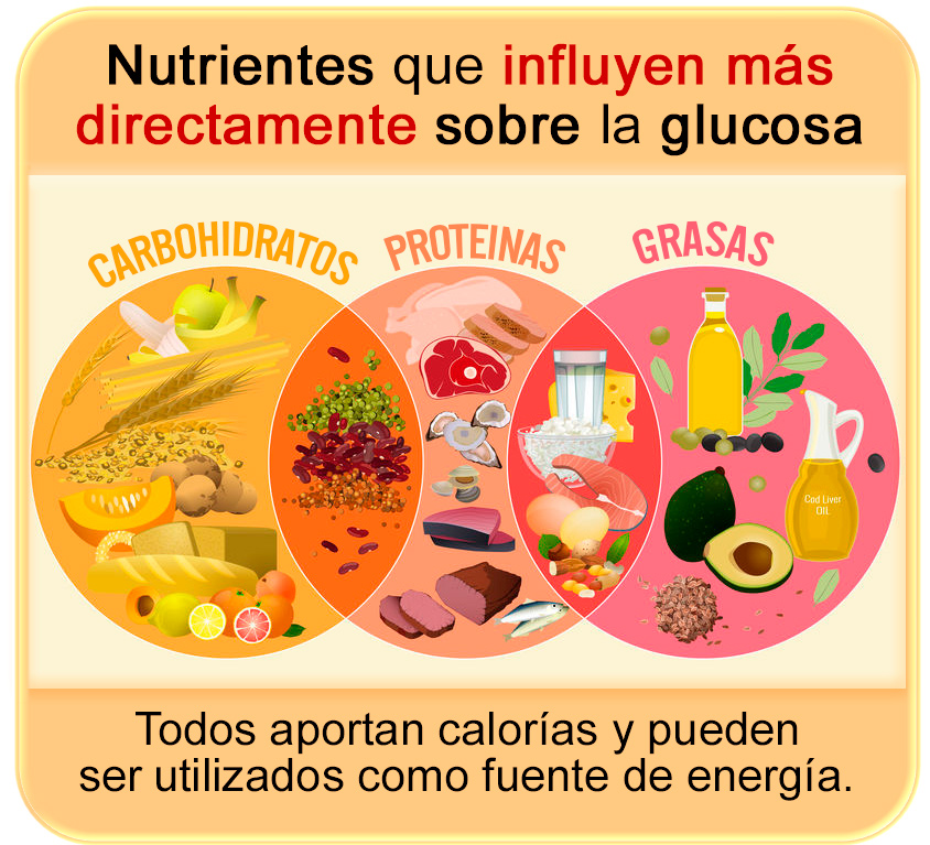 imagen de nutrientes que influyen sobre la glucosa