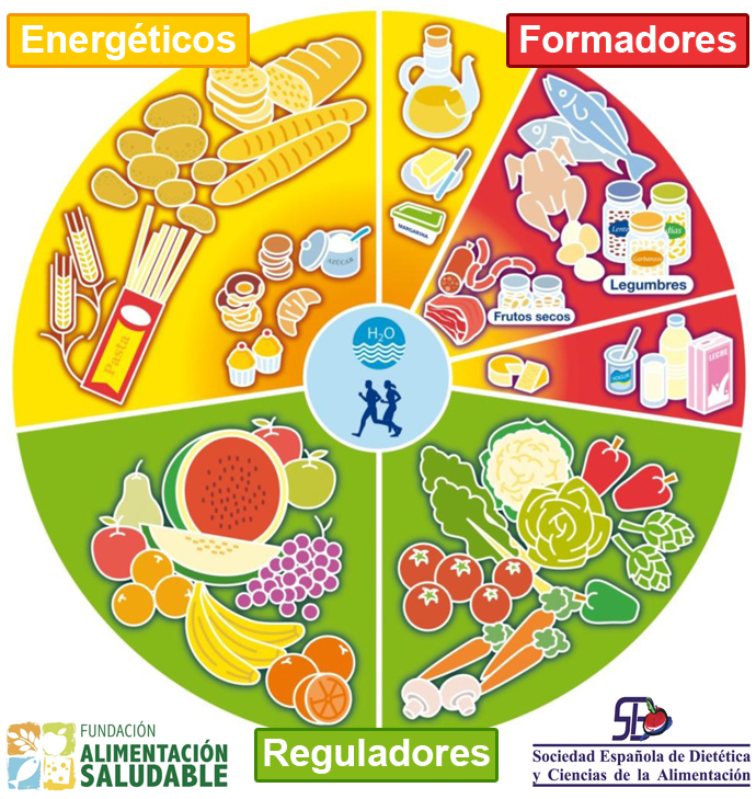imagen de rueda alimentos divididos en 3 grupos: energéticos, formadores y reguladores