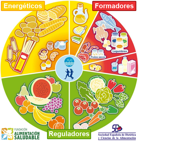 imagen de rueda alimentos divididos en 3 grupos: energéticos, formadores y reguladores