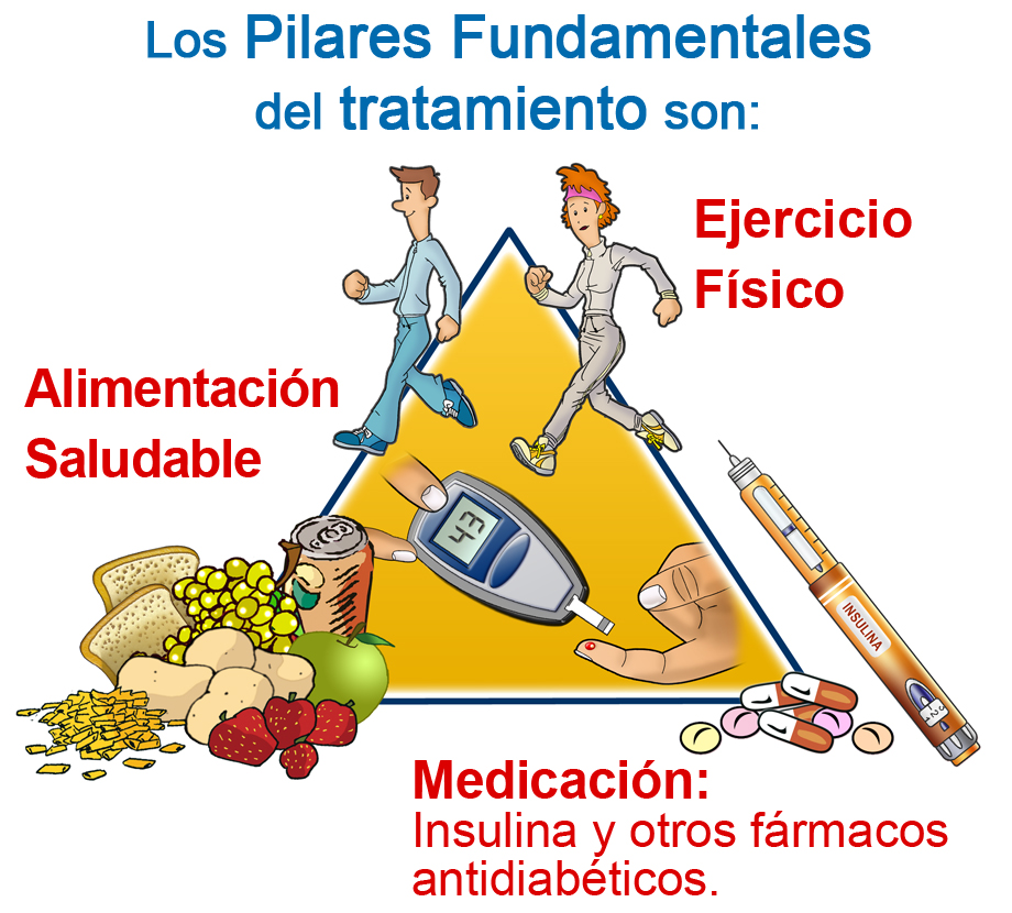 imagen de pirámide con los pilares fundamentales del tratamiento alimentación, medicación y ejercicio físico