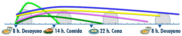 gráfico comparativo de tiempo de actuación de insulinas intermedias y prolongadas